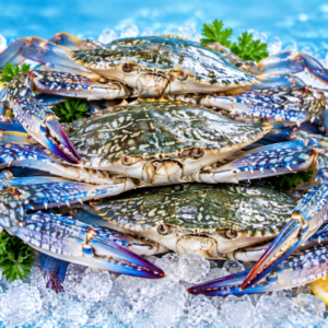 Blue Swimmer Crab