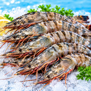Tiger Prawns (HOSO)
