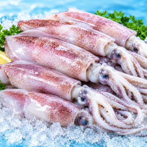 Raw Squid / Calamari