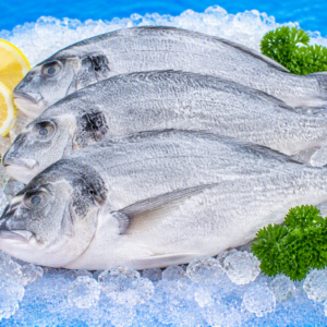 Frozen Whole Fish (IQF)