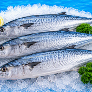 Whole Fresh Seer Fish (Vanjaram)